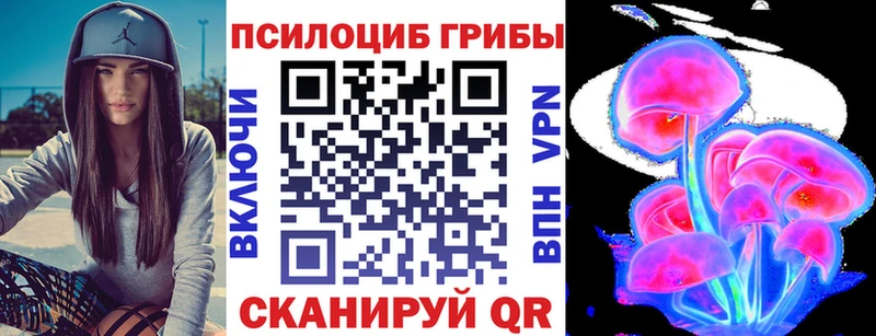 Галлюциногенные грибы мицелий  Зуевка 